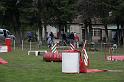 Tarascon_0004