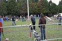 Tarascon_0006