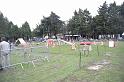 Tarascon_0007