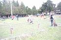 Tarascon_0022