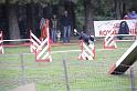 Tarascon_0029