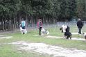 Tarascon_0036