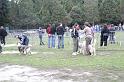 Tarascon_0037