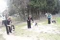 Tarascon_0797