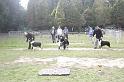 Tarascon_0815