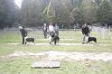 Tarascon_0816