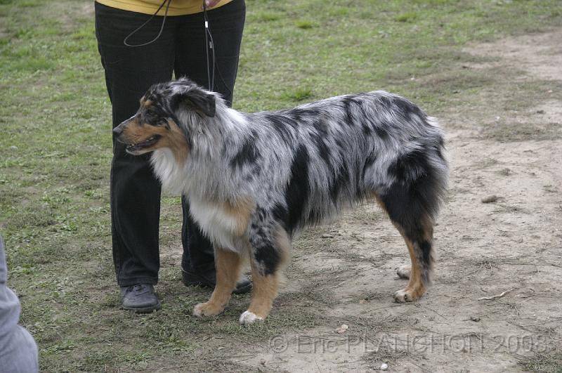 Tarascon_0591.JPG
