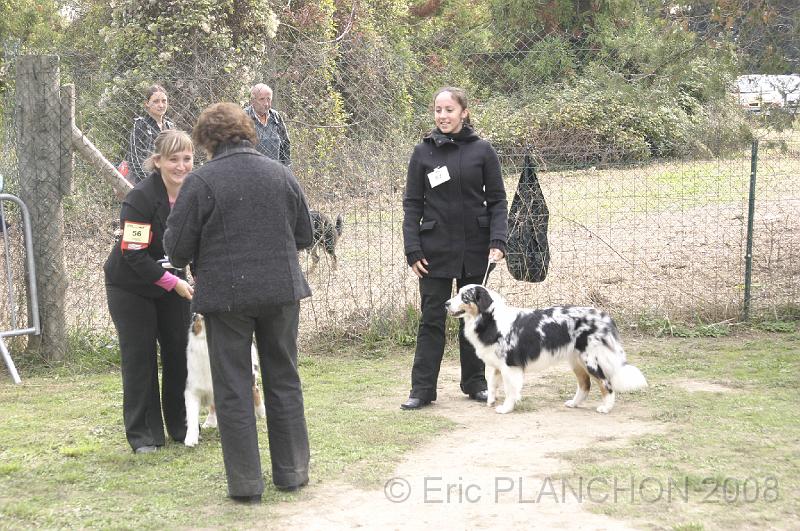 Tarascon_0646.JPG