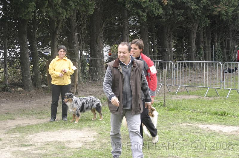 Tarascon_0650.JPG