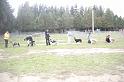 Tarascon_0634