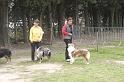 Tarascon_0651
