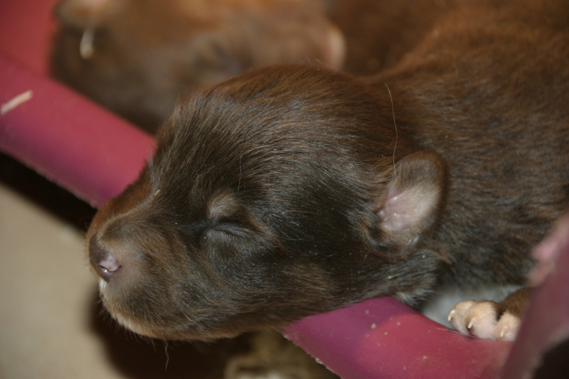 Tazz-Wendy 20070927011
