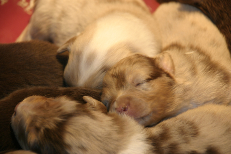 Tazz-Wendy 20070927063