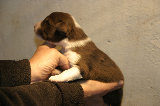 Tazz-Wendy 20070927022