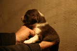 Tazz-Wendy 20070927023