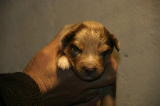 Tazz-Wendy 20070927043