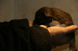 Tazz-Wendy 20070927048