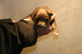 Tazz-Wendy 20070927050