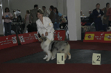 IMG_5853