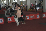 IMG_5867