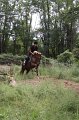 IMG_0041