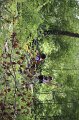 IMG_0122