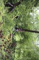 IMG_0125