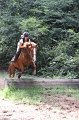 IMG_0152