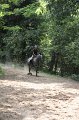 IMG_0157
