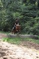 IMG_0161