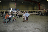 IMG_5720