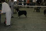IMG_5721