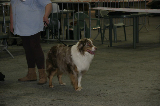IMG_5732