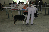 IMG_5740